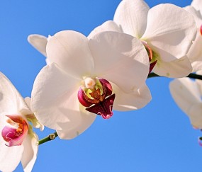 安顺正规助孕捐卵机构，附正规捐卵机构报名表！